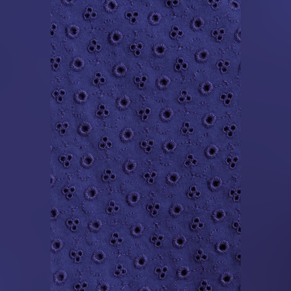 NWT Free People Apricot Rose Puff Sleeve Eyelet Dress in Living Indigo - Picture 9 of 14